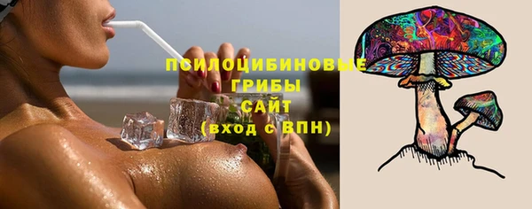 молекула духа Алексеевка