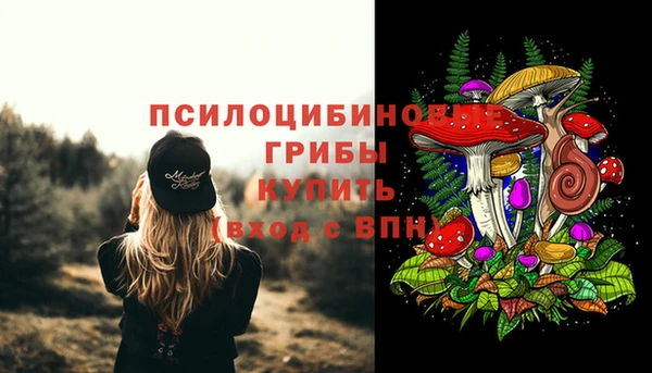 молекула духа Алексеевка
