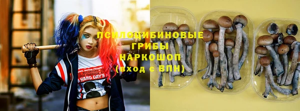молекула духа Алексеевка
